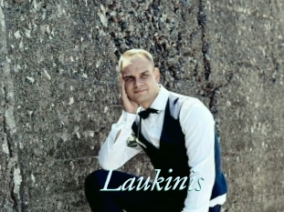 Laukinis