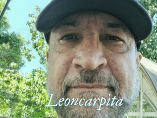 Leoncarpita