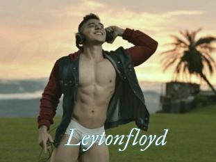 Leytonfloyd