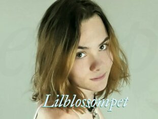 Lilblossompet