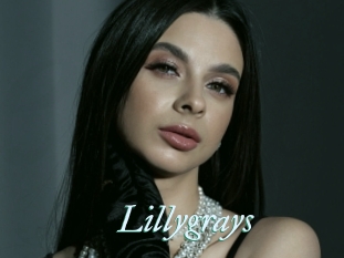 Lillygrays