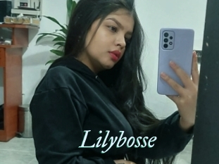 Lilybosse