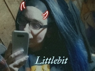 Littlebit