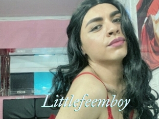 Littlefeemboy