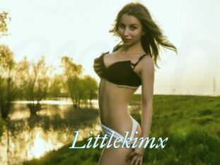 Littlekimx