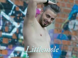 Littlemole