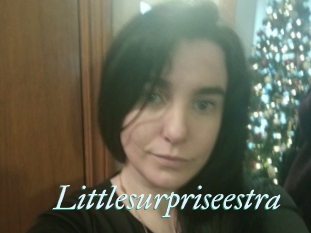 Littlesurpriseestra