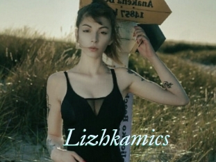 Lizhkamics