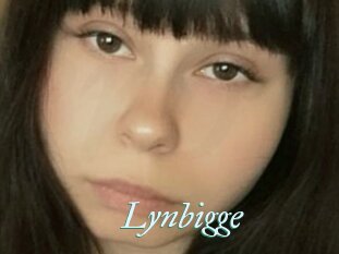 Lynbigge