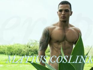 MATIUS_COSLINK
