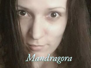 Mandragora