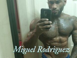 Miguel_Rodriguez