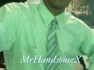 MrHandsomeX