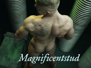 Magnificentstud