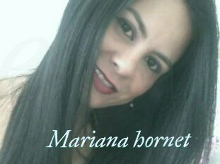 Mariana_hornet