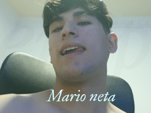 Mario_neta