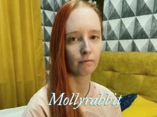 Mollyrabbit