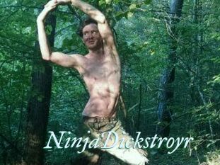 NinjaDickstroyr