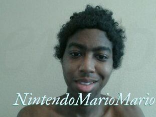 NintendoMarioMario