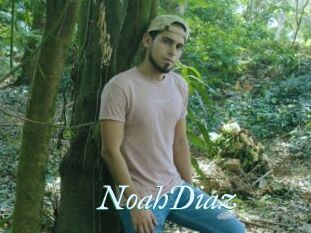 NoahDiaz