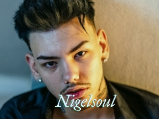 Nigelsoul