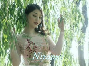 Niyamei