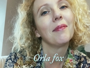 Orla_fox