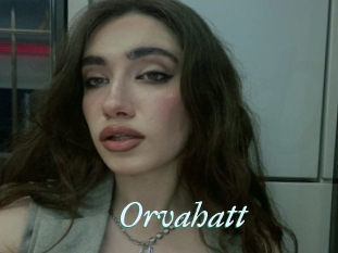 Orvahatt