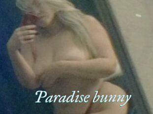 Paradise_bunny