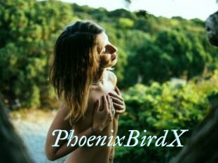 PhoenixBirdX