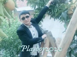 Playboy2020