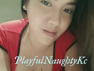 PlayfulNaughtyKc