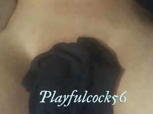 Playfulcock56