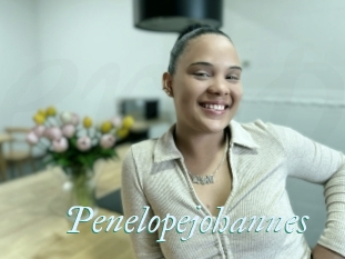 Penelopejohannes