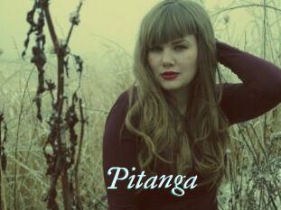 Pitanga