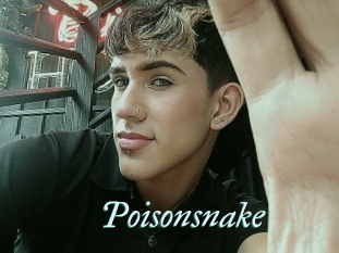 Poisonsnake