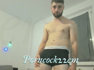 Porncock22cm