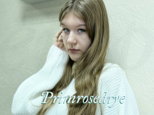 Primrosedrye