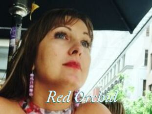 Red_Orchid