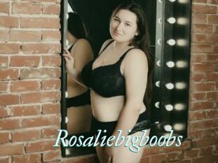 Rosaliebigboobs