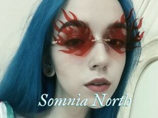 Somnia_North