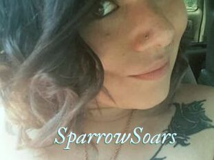 SparrowSoars
