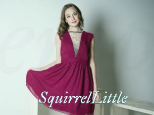 SquirrelLittle