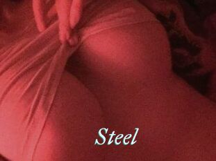 Steel