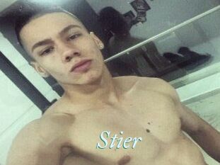 Stier