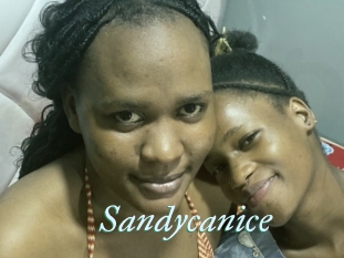 Sandycanice