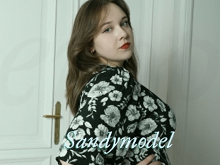 Sandymodel