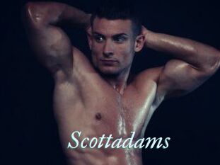 Scottadams