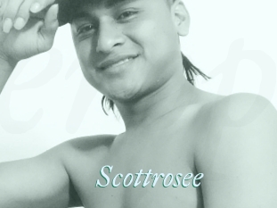 Scottrosee