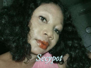 Secypot